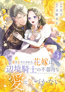 置き去りにされた花嫁は、辺境騎士の不器用な愛に気づかない【電子単行本版/特典おまけ付き】 (3)