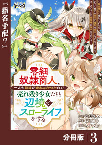 零細奴隷商人、一人も奴隷が売れなかったので売れ残り少女たちと辺境でスローライフをする~毎日優しく接していたら、いつの間にか勝手に魔物を狩るようになってきた。え、この子たち最強種の魔族だったの?~【分冊版】(ノヴァコミックス)3 電子書籍版