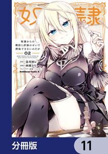 奴隷からの期待と評価のせいで搾取できないのだが【分冊版】 11 電子書籍版