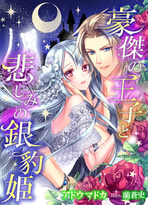 豪傑の王子と悲しみの銀豹姫