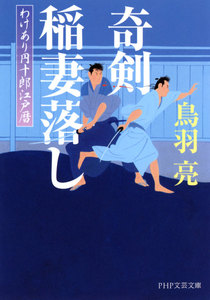 わけあり円十郎江戸暦 奇剣 稲妻落し 電子書籍版