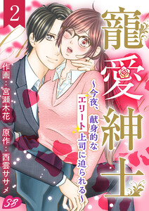 寵愛紳士~今夜、献身的なエリート上司に迫られる~ (2) 電子書籍版