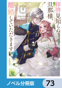 拝啓見知らぬ旦那様、離婚していただきます【ノベル分冊版】 73 電子書籍版
