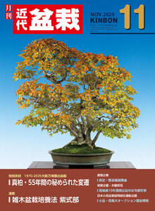 近代盆栽2025年11月号 電子書籍版
