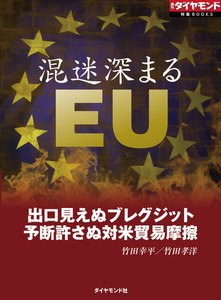 混迷深まるEU(週刊ダイヤモンド特集BOOKS Vol.375) 電子書籍版
