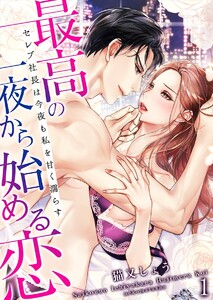 最高の一夜から始める恋~セレブ社長は今夜も私を甘く濡らす~