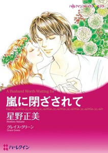 嵐に閉ざされて (分冊版)12話 電子書籍版