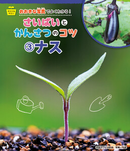 ナス 電子書籍版