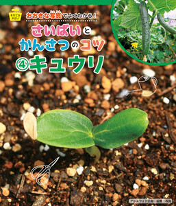 キュウリ 電子書籍版