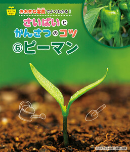 ピーマン 電子書籍版