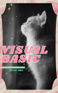 VISUAL BASIC