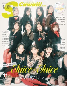 S Cawaii! 2026年11月号 増刊 特別版 スペシャル版 電子書籍版