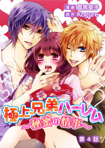極上兄弟ハーレム~秘蜜の情事~