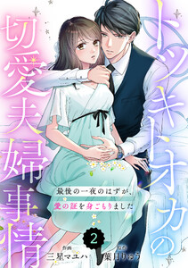 comic Berry’sトツキトオカの切愛夫婦事情~最後の一夜のはずが、愛の証を身ごもりました~2巻 電子書籍版