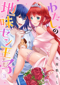 わたしの地味セン王子(3) 電子書籍版