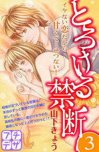 とろける禁断 プチデザ (3) 電子書籍版