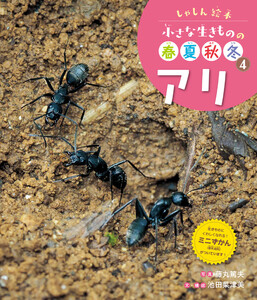 アリ4 しゃしん絵本 小さな生きものの春夏秋冬 電子書籍版