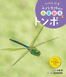 トンボ5 しゃしん絵本 小さな生きものの春夏秋冬 電子書籍版