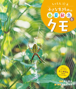 クモ6 しゃしん絵本 小さな生きものの春夏秋冬 電子書籍版