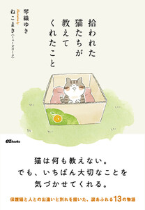 拾われた猫たちが教えてくれたこと