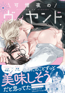 可惜夜のヴィヤンド【電子限定描き下ろし付き】