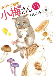 キジトラ猫の小梅さん(13) 電子書籍版