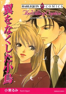 翼をなくした小鳥 (分冊版)4話 電子書籍版