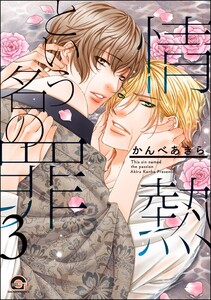 情熱という名の罪(分冊版) 【第3話】 電子書籍版