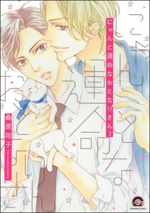 にゃんと運命なおとなりさん(分冊版) 【第3話】 電子書籍版