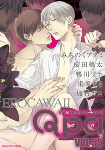 Qpa vol.55 エロカワイイ 電子書籍版