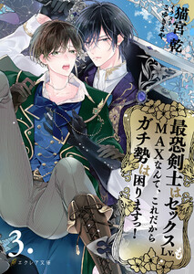 最恐剣士はセックスLv.もMAXなんて、これだからガチ勢は困りますっ! 3(分冊版) 電子書籍版