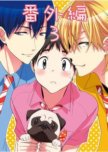 番外編 (3) 電子書籍版