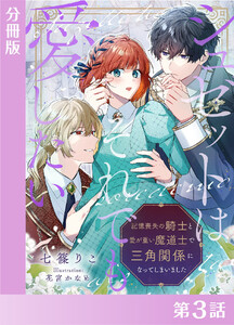 シュゼットはそれでも愛したい～記憶喪失の騎士と愛が重い魔道士で三角関係になってしまいました～【分冊版3】 電子書籍版