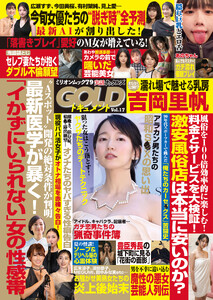 実話ナックルズGOLDドキュメント vol.17[ライト版]
