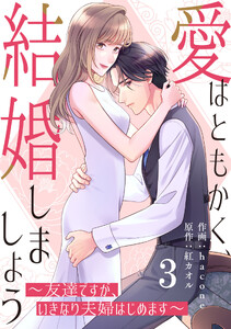 comic Berry’s愛はともかく、結婚しましょう〜友達ですが、いきなり夫婦はじめます〜3巻 電子書籍版