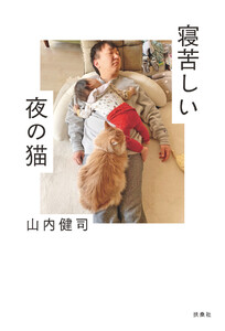 寝苦しい夜の猫