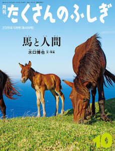 馬と人間(たくさんのふしぎ2026年10月号)