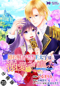 婚約解消を提案したら王太子様に溺愛されました ～お手をどうぞ、僕の君～(コミック) 分冊版 : 23 電子書籍版