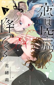 恋は空から降ってくる (3)