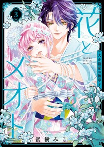 花とメオト-大正溺愛お伽草子- (3)