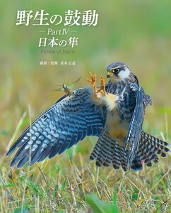 野生の鼓動 PartIV 日本の隼 電子書籍版