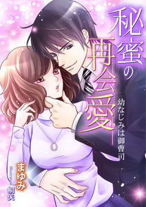 秘蜜の再会愛~幼なじみは御曹司~