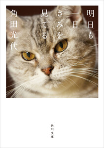 明日も一日きみを見てる