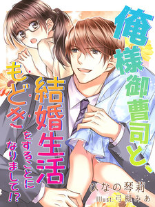 俺様御曹司と、結婚生活もどきをすることになりまして!?