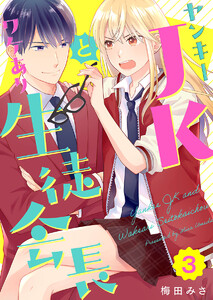 ヤンキーJKとワケあり生徒会長 (3) 電子書籍版