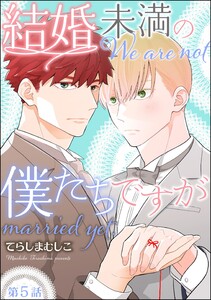 結婚未満の僕たちですが(分冊版) 【第5話】