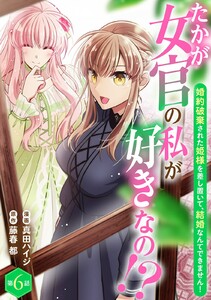 たかが女官の私が好きなの!? 婚約破棄された姫様を差し置いて、結婚なんてできません! (6)