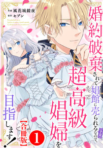 婚約破棄されて娼館に売られる(予定)なので、超高級娼婦を目指します!【合冊版】 (1)