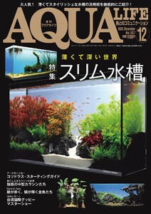 アクアライフ 2025年12月号 電子書籍版