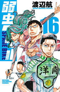 弱虫ペダル SPARE BIKE (16)